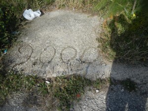 1-GENOVESE anno (Large)