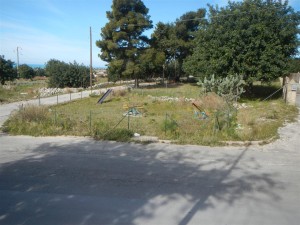2-GENOVESE insieme (Large)