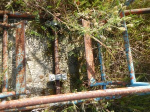 5-GENOVESE particolare della 5 (Large)